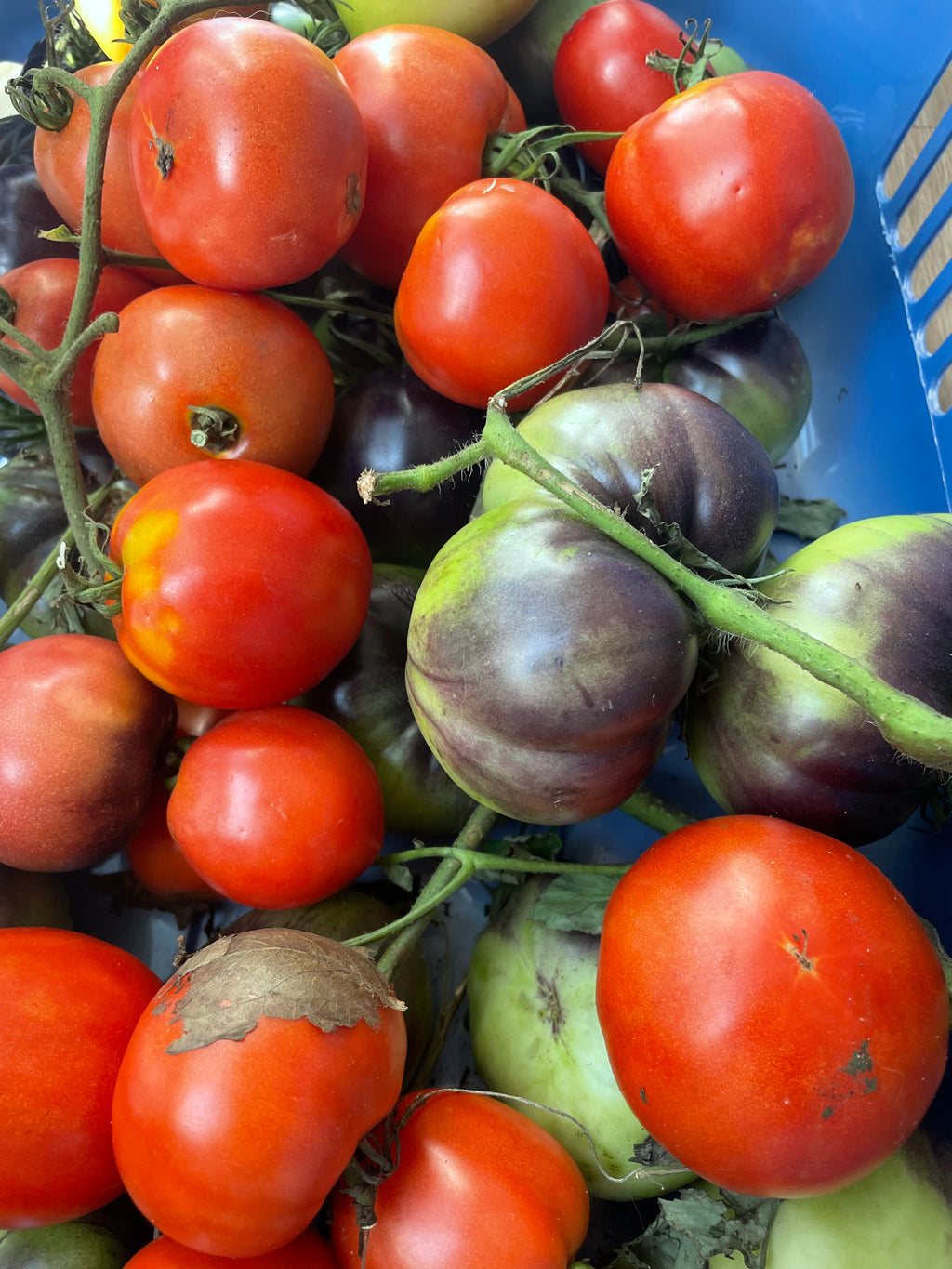 Weekly Farm Box 2026